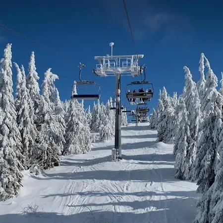 Sky View, Zupa Wellness & U Centru Kopaonika * קופאוניק