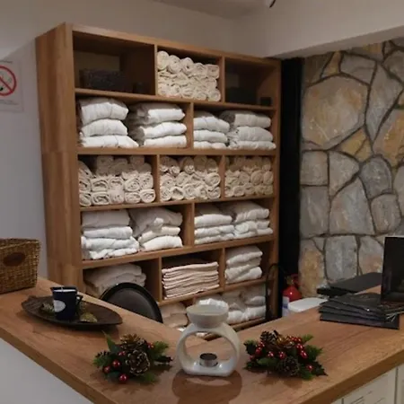 Sky View, Zupa Wellness & U Centru Kopaonika קופאוניק